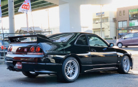 Nissan Skyline BCNR33 GT-R for sale (#3490)