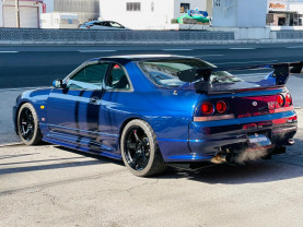 Nissan Skyline BCNR33 GT-R for sale (#3596)