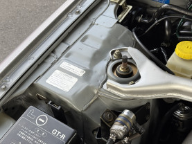 Nissan Skyline GT-R R34 for sale (#3973)