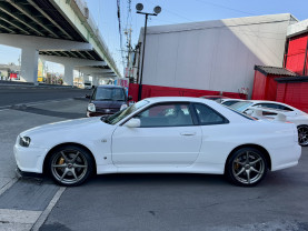 Nissan Skyline GT-R R34 for sale (#3975)