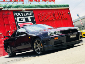 Nissan Skyline BNR34 MNP2 GT-R for sale (#3345)