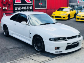 Nissan Skyline BCNR33 GT-R for sale (#3344)