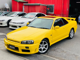 Nissan Skyline ER34 GT-T for sale (#3731)