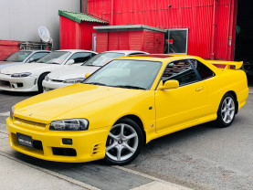 Nissan Skyline ER34 GT-T for sale (#3731)