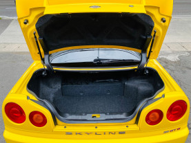 Nissan Skyline ER34 GT-T for sale (#3731)