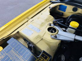 Nissan Skyline ER34 GT-T for sale (#3983)