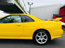 Nissan Skyline ER34 GT-T for sale (#3983)