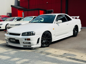 Nissan Skyline ER34 GT-T for sale (#3978)