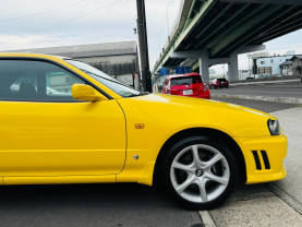 Nissan Skyline ER34 GT-T for sale (#3983)