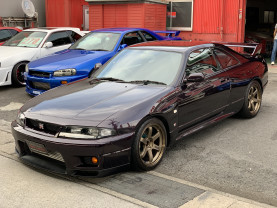 Nissan Skyline GT-R R33 for sale (#3518)