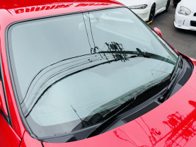 Nissan Skyline GT-R R33 for sale (#3925)