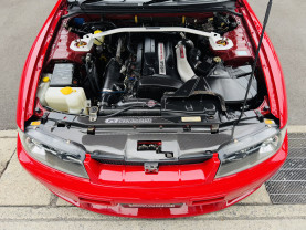 Nissan Skyline GT-R R33 for sale (#3925)