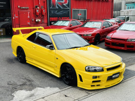 Nissan Skyline ER34 GT-T for sale (#3821)
