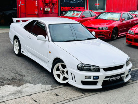 Nissan Skyline ER34 GT-T for sale (#3814)