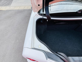 Nissan Skyline ER34 GT-T for sale (#3933)