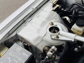 Nissan Skyline GT-R R33 for sale (#3932)