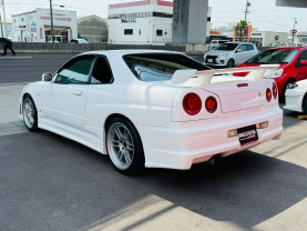 Nissan Skyline ER34 GT-T for sale (#3933)