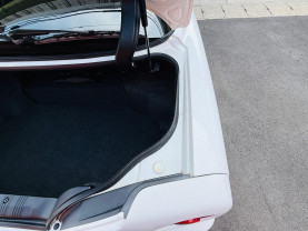 Nissan Skyline ER34 GT-T for sale (#3933)