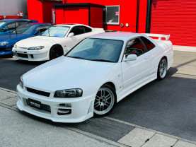 Nissan Skyline ER34 GT-T for sale (#3933)