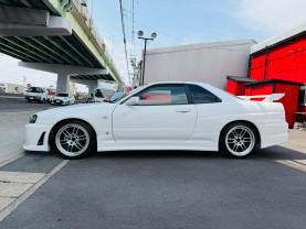 Nissan Skyline ER34 GT-T for sale (#3933)
