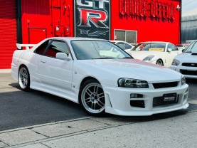Nissan Skyline ER34 GT-T for sale (#3933)
