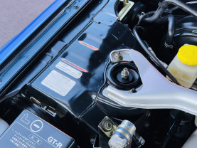 Nissan Skyline GT-R R34 V-Spec for sale (#3940)