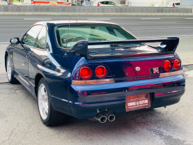 Nissan Skyline BCNR33 GT-R for sale (#3545)