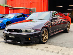 Nissan Skyline GT-R R33 V-Spec for sale (#3540)