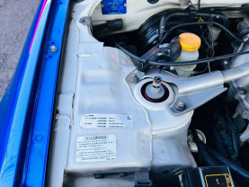 Nissan Skyline ER34 GT-T for sale (#3828)