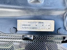 Nissan Skyline GT-R R33 for sale (#3832)