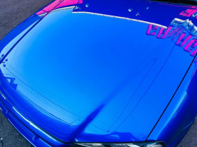 Nissan Skyline ER34 GT-T for sale (#3828)