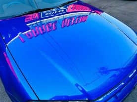 Nissan Skyline ER34 GT-T for sale (#3828)