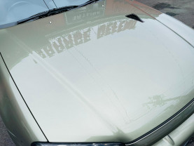 Nissan Skyline BNR34 GT-R Vspec II Nür MJ for sale (#3770)