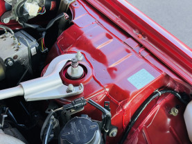 Nissan Skyline ER34 GT-T for sale (#3943)