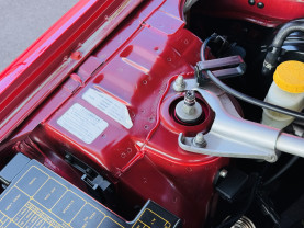 Nissan Skyline ER34 GT-T for sale (#3943)