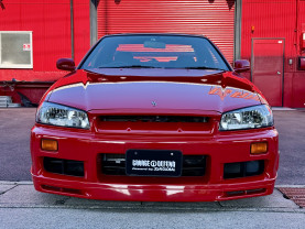 Nissan Skyline ER34 GT-T for sale (#3943)