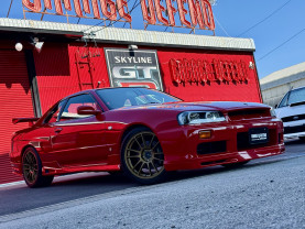 Nissan Skyline ER34 GT-T for sale (#3943)