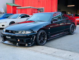 Nissan Skyline BCNR33 GT-R for sale (#3561)
