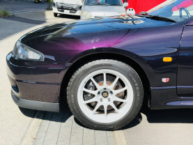 Nissan Skyline GT-R R33 for sale (#3946)
