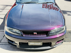 Nissan Skyline GT-R R33 for sale (#3946)