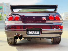 Nissan Skyline GT-R R33 for sale (#3946)