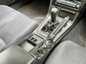 Nissan Skyline GT-R R33 for sale (#3946)