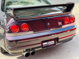 Nissan Skyline GT-R R33 for sale (#3946)