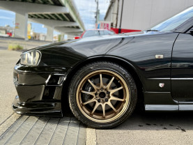 Nissan Skyline ER34 GT-T for sale (#3954)