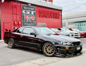 Nissan Skyline ER34 GT-T for sale (#3954)
