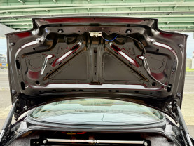 Nissan Skyline GT-R R33 for sale (#3946)