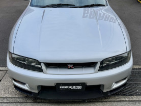 Nissan Skyline GT-R R33 for sale (#3955)