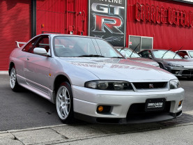 Nissan Skyline GT-R R33 for sale (#3955)
