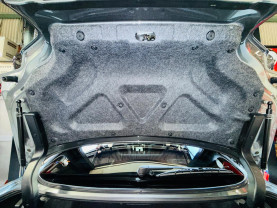 Nissan Skyline ER34 GT-T for sale (#3963)